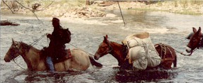 horsemanship